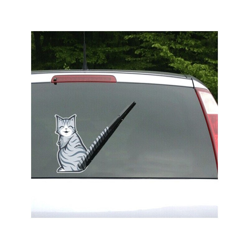 Stickers Voiture Chat Grossier